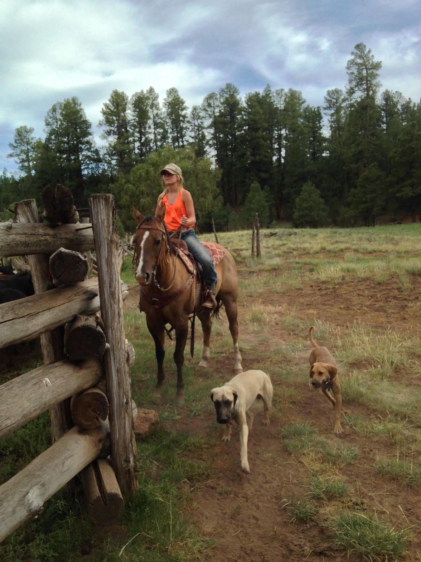 Отель Grand Canyon Ranch & Outfitters Fredonia Экстерьер фото