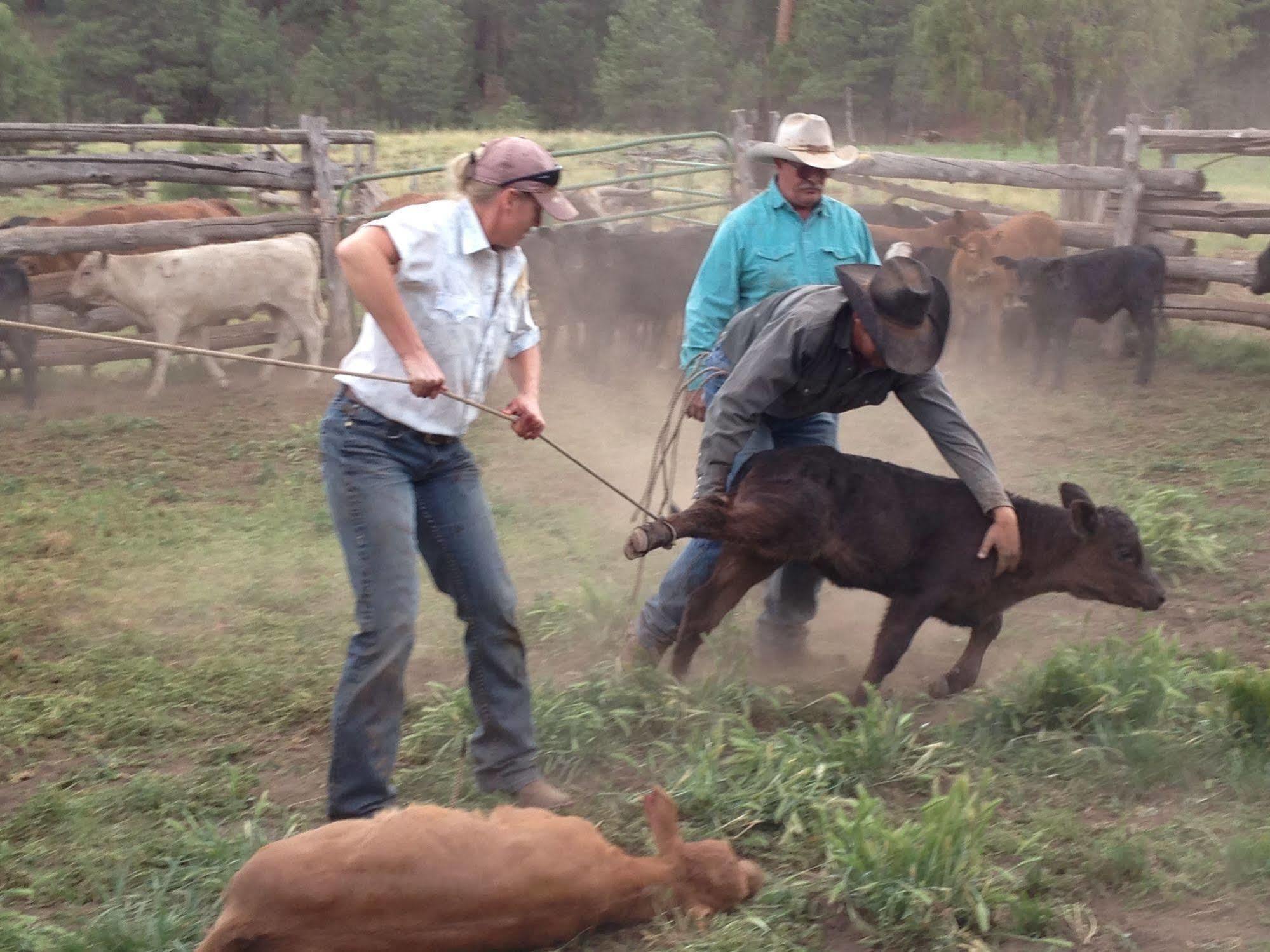 Отель Grand Canyon Ranch & Outfitters Fredonia Экстерьер фото