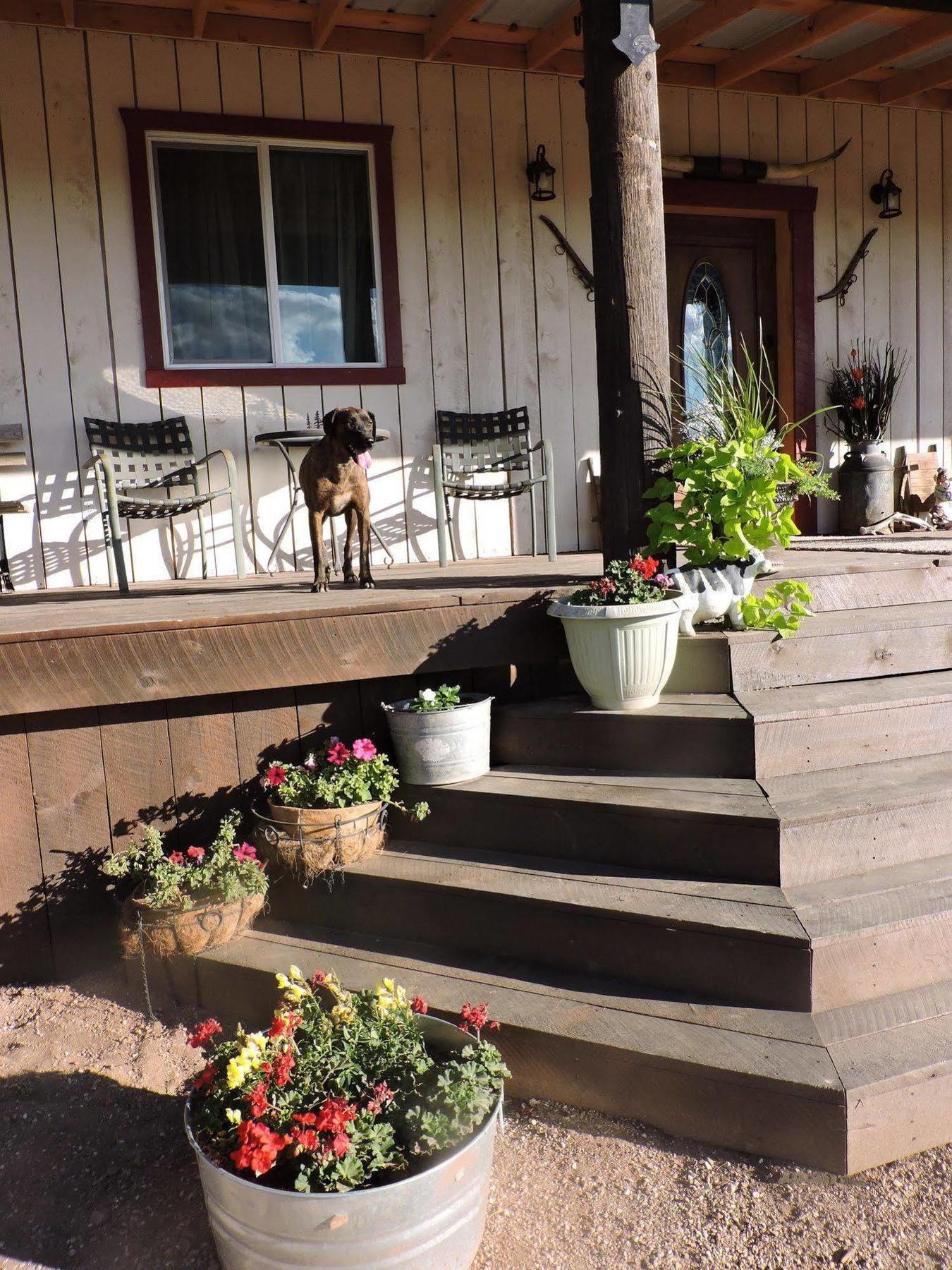 Отель Grand Canyon Ranch & Outfitters Fredonia Экстерьер фото